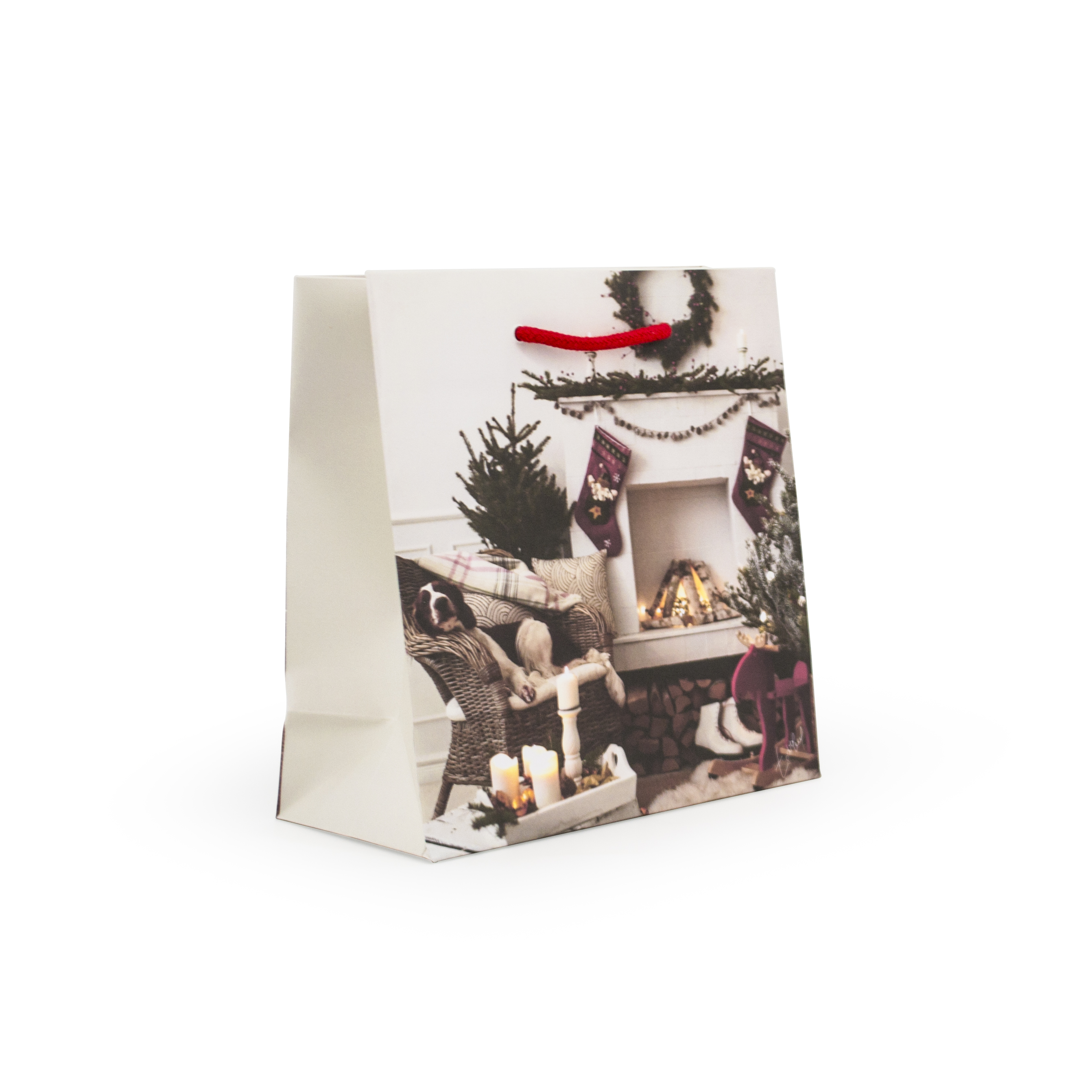 Immagine non disponibile