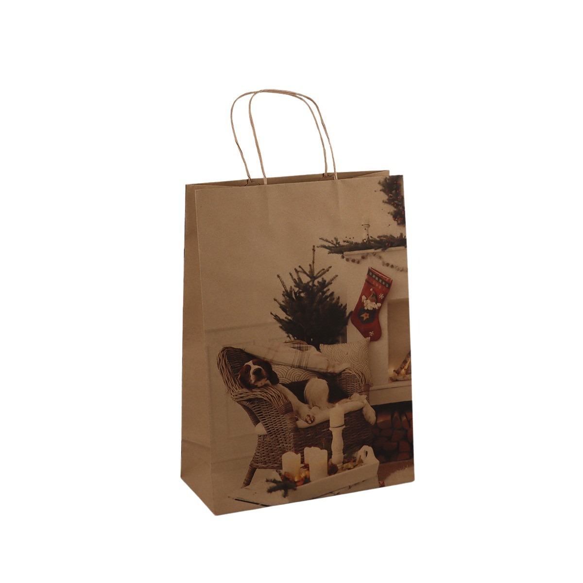 Immagine non disponibile