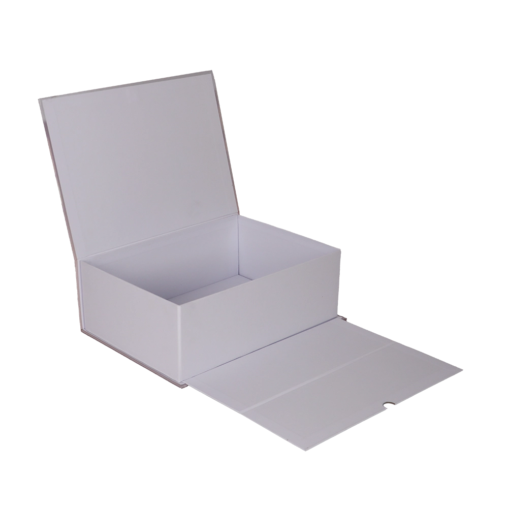 Immagine non disponibile